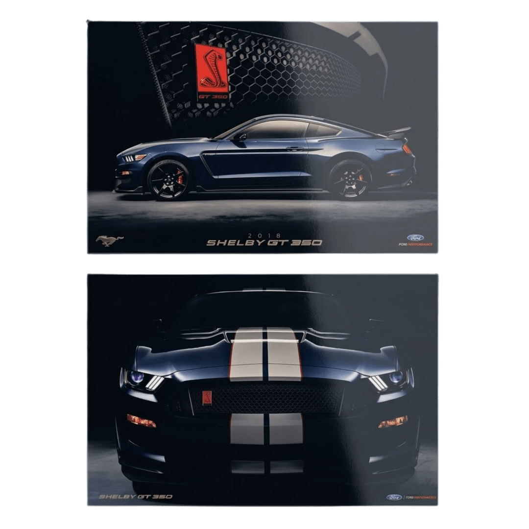 Ford - 2018 2 - Sided Shelby GT350 Poster - Ford Show Parts